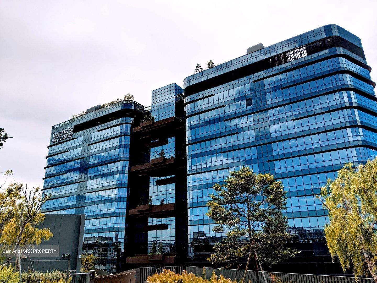 Woods Square (D25), Office #450290711